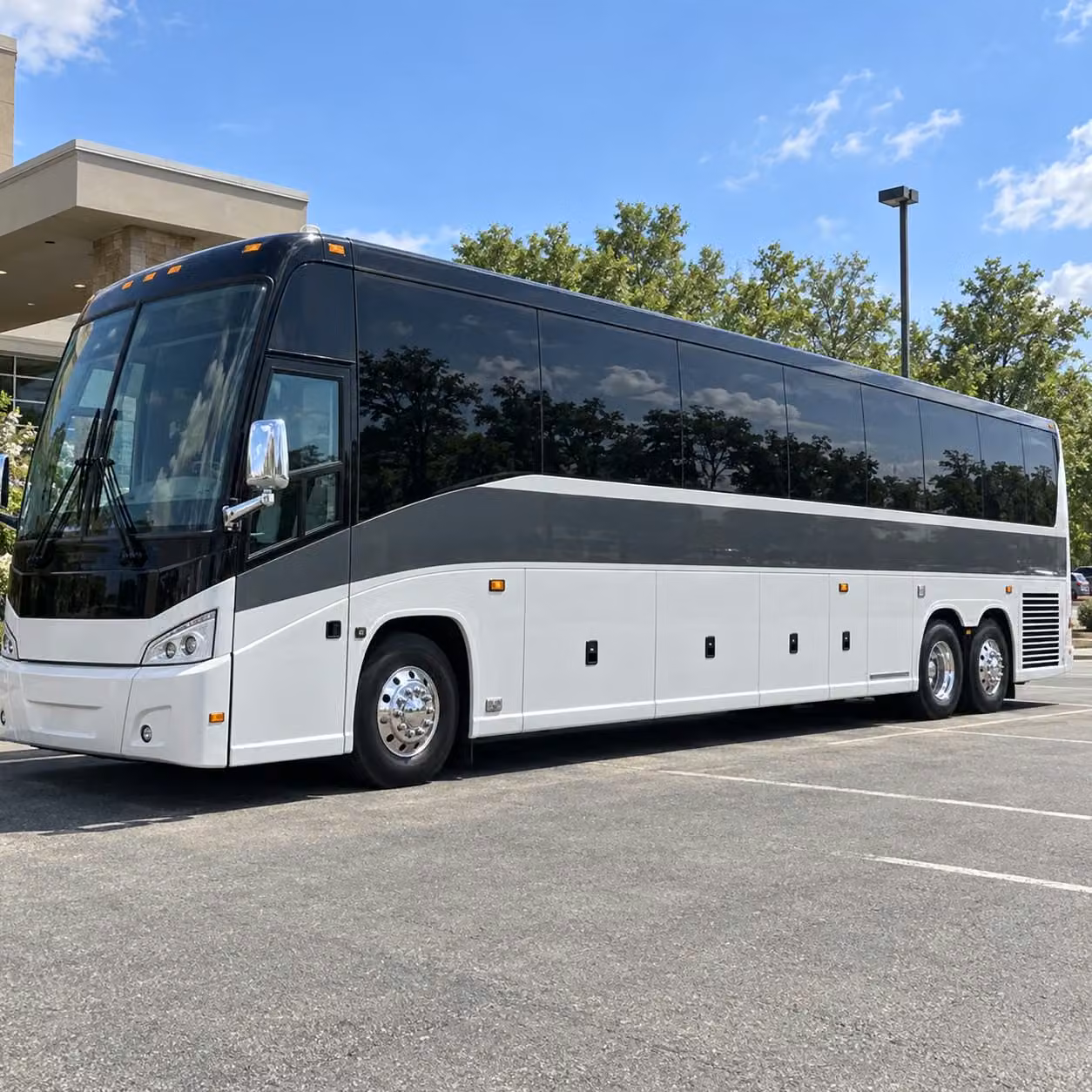 56 passenger charter bus