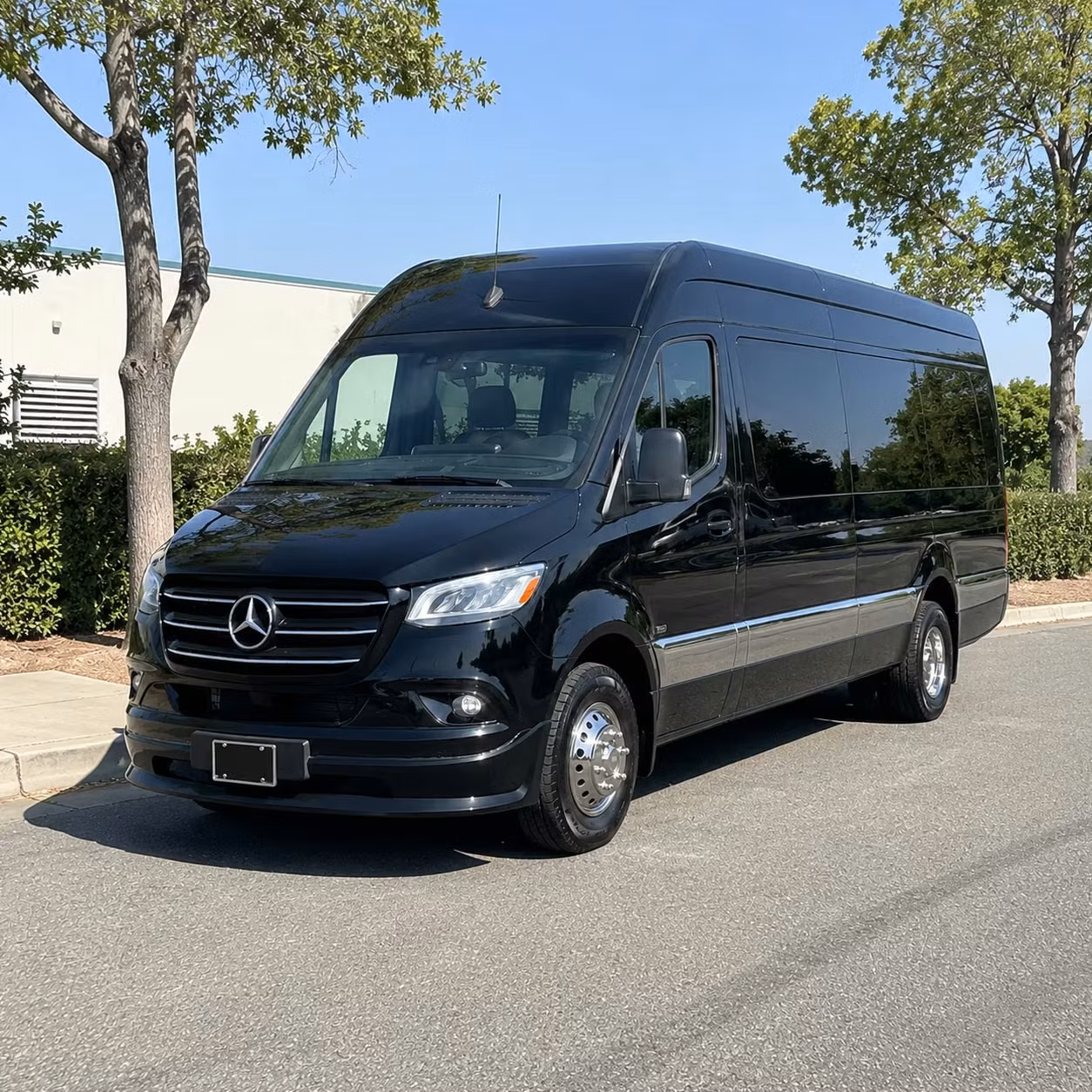 sprinter van with driver